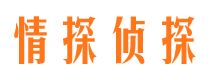 沙市捉小三公司